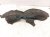 2025 Honda Civic Rear Driver Inner Fender Liner 74592 T20 A20 Replacement 2025 Honda Civic Rear Driver Inner Fender Liner 74592 T20 A20 Replacement thumbnail