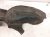 2025 Honda Civic Rear Driver Inner Fender Liner 74592 T20 A20 Replacement 2025 Honda Civic Rear Driver Inner Fender Liner 74592 T20 A20 Replacement thumbnail