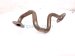 2025 Honda Civic Egr Pipe 2.0l Hybrid 18717 6MA J00 Replacement 2025 Honda Civic Egr Pipe 2.0l Hybrid 18717 6MA J00 Replacement thumbnail