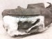 2015 Lexus Gs350 Rear Passenger Inner Fender Liner 65637 30141 Replacement 2015 Lexus Gs350 Rear Passenger Inner Fender Liner 65637 30141 Replacement thumbnail