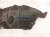 2025 Honda Civic Rear Passenger Inner Fender Liner 74552 T20 A20 Replacement 2025 Honda Civic Rear Passenger Inner Fender Liner 74552 T20 A20 Replacement thumbnail