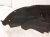2023 Toyota Camry Rear Passenger Inner Fender Liner 65637 06300 Replacement 2023 Toyota Camry Rear Passenger Inner Fender Liner 65637 06300 Replacement thumbnail