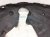 2023 Toyota Camry Front Driver Inner Fender Liner 53806 06271 Replacement 2023 Toyota Camry Front Driver Inner Fender Liner 53806 06271 Replacement thumbnail