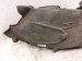 2024 Ford Mustang Rear Passenger Inner Fender Liner PR3Z 61278B50 A Replacement 2024 Ford Mustang Rear Passenger Inner Fender Liner PR3Z 61278B50 A Replacement thumbnail