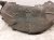 2024 Ford Mustang Rear Passenger Inner Fender Liner PR3Z 61278B50 A Replacement 2024 Ford Mustang Rear Passenger Inner Fender Liner PR3Z 61278B50 A Replacement thumbnail