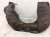 2023 Toyota Sienna Front Driver Inner Fender Liner 53806 08062 Replacement 2023 Toyota Sienna Front Driver Inner Fender Liner 53806 08062 Replacement thumbnail