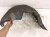 2023 Toyota Sienna Rear Driver Inner Fender Liner 65638 08020 Replacement 2023 Toyota Sienna Rear Driver Inner Fender Liner 65638 08020 Replacement thumbnail