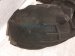2015 Audi Q5 Audi Front Passenger Inner Fender Liner 8R0 821 172 K Replacement 2015 Audi Q5 Audi Front Passenger Inner Fender Liner 8R0 821 172 K Replacement thumbnail
