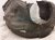 2024 Ford Mustang Front Passenger Inner Fender Liner PR3B 16034 AE Replacement 2024 Ford Mustang Front Passenger Inner Fender Liner PR3B 16034 AE Replacement thumbnail
