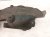 2024 Acura Integra Rear Passenger Inner Fender Liner 74552 3S5 A00 Replacement 2024 Acura Integra Rear Passenger Inner Fender Liner 74552 3S5 A00 Replacement thumbnail