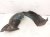 2023 BMW Mini Cooper Front Passenger Inner Fender Liner 51 71 9 447 828 Replacement 2023 BMW Mini Cooper Front Passenger Inner Fender Liner 51 71 9 447 828 Replacement thumbnail