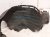 2025 Subaru Crosstrek Front Passenger Inner Fender Liner 59110FN00A Replacement 2025 Subaru Crosstrek Front Passenger Inner Fender Liner 59110FN00A Replacement thumbnail
