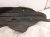 2025 Toyota Corollacs Rear Passenger Inner Fender Liner 65637 0A040 Replacement 2025 Toyota Corollacs Rear Passenger Inner Fender Liner 65637 0A040 Replacement thumbnail