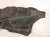 2024 Honda Accord Rear Passenger Inner Fender Liner Hybrid 74540 30A A00 Replacement 2024 Honda Accord Rear Passenger Inner Fender Liner Hybrid 74540 30A A00 Replacement thumbnail