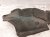 2024 Honda Accord Rear Driver Inner Fender Liner Hybrid 74590 30A A00 Replacement 2024 Honda Accord Rear Driver Inner Fender Liner Hybrid 74590 30A A00 Replacement thumbnail