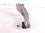 2024 Jeep Grand Cherokee Front Passenger Lower Control Arm 68375646AB Replacement 2024 Jeep Grand Cherokee Front Passenger Lower Control Arm 68375646AB Replacement thumbnail