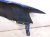 2015 Mitsubishi Lancermit Front Driver Fender Afmkt Blue MB10075BLQ Replacement 2015 Mitsubishi Lancermit Front Driver Fender Afmkt Blue MB10075BLQ Replacement thumbnail