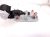 2020 Toyota Highlander Rear Seat 3rd Row Mid Belt Retractor Black 73510 0E020 C3 Replacement 2020 Toyota Highlander Rear Seat 3rd Row Mid Belt Retractor Black 73510 0E020 C3 Replacement thumbnail
