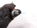 2024 Nissan Altima Front Upper Oxygen Sensor 2.5l 226A0 6CC0B Replacement 2024 Nissan Altima Front Upper Oxygen Sensor 2.5l 226A0 6CC0B Replacement thumbnail