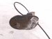 2022 Subaru Ascent Spare Tire Hoist Assy 97071XA00A Replacement 2022 Subaru Ascent Spare Tire Hoist Assy 97071XA00A Replacement thumbnail