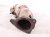 2022 Subaru Ascent Front Catalytic Converter 2.4t Awd 44612AA92B Replacement 2022 Subaru Ascent Front Catalytic Converter 2.4t Awd 44612AA92B Replacement thumbnail