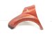 2021 Toyota C HR Front Driver Fender Red 53802 10700 Replacement 2021 Toyota C HR Front Driver Fender Red 53802 10700 Replacement thumbnail