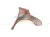 2021 Toyota C HR Front Driver Fender Red 53802 10700 Replacement 2021 Toyota C HR Front Driver Fender Red 53802 10700 Replacement thumbnail