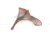 2021 Toyota C HR Front Driver Fender Red 53802 10700 Replacement 2021 Toyota C HR Front Driver Fender Red 53802 10700 Replacement thumbnail
