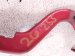 2021 Toyota C HR Passenger Hood Hinge Red 53410 10100 Replacement 2021 Toyota C HR Passenger Hood Hinge Red 53410 10100 Replacement thumbnail