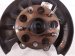 2021 Toyota C HR Axle Stub Rear Driver Spindle Knuckle Hub Fwd 42450 42060 Replacement 2021 Toyota C HR Axle Stub Rear Driver Spindle Knuckle Hub Fwd 42450 42060 Replacement thumbnail