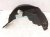 2026 Toyota Camry Rear Driver Inner Fender Liner Hybrid 65638 A0010 Replacement 2026 Toyota Camry Rear Driver Inner Fender Liner Hybrid 65638 A0010 Replacement thumbnail