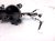 2020 Toyota Highlander Center Console Cup Holder Assy Blk 55618 0E230 Replacement 2020 Toyota Highlander Center Console Cup Holder Assy Blk 55618 0E230 Replacement thumbnail