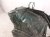 2023 Toyota Corollacs Driver Apron / Shock Tower Cut Green 53702 0A070 Replacement 2023 Toyota Corollacs Driver Apron / Shock Tower Cut Green 53702 0A070 Replacement thumbnail