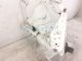 2024 Subaru WRX Driver Apron Frame Rail Cut White 51609AN01A9P Replacement 2024 Subaru WRX Driver Apron Frame Rail Cut White 51609AN01A9P Replacement thumbnail