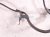 2021 Toyota C HR Rear Driver Abs Speed Sensor Wire 890C0 10040 Replacement 2021 Toyota C HR Rear Driver Abs Speed Sensor Wire 890C0 10040 Replacement thumbnail