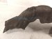 2022 Toyota Sienna Rear Passenger Inner Fender Liner 65637 08020 Replacement 2022 Toyota Sienna Rear Passenger Inner Fender Liner 65637 08020 Replacement thumbnail
