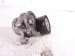 2022 Subaru Ascent Belt Tensioner Pulley 2.4l 23769AA13A Replacement 2022 Subaru Ascent Belt Tensioner Pulley 2.4l 23769AA13A Replacement thumbnail