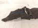 2025 Honda Civic Rear Passenger Inner Fender Liner Hyb Spt t 74550 T43 000 Replacement 2025 Honda Civic Rear Passenger Inner Fender Liner Hyb Spt t 74550 T43 000 Replacement thumbnail