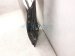 2017 Toyota Rav 4 Rear Passenger Door Black No Inside Trim 67003 0R091 Replacement 2017 Toyota Rav 4 Rear Passenger Door Black No Inside Trim 67003 0R091 Replacement thumbnail