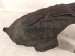 2021 Honda CR V Rear Driver Inner Fender Liner Hybrid 74590 TLA A50 Replacement 2021 Honda CR V Rear Driver Inner Fender Liner Hybrid 74590 TLA A50 Replacement thumbnail
