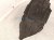 2021 Honda CR V Rear Driver Inner Fender Liner Hybrid 74590 TLA A50 Replacement 2021 Honda CR V Rear Driver Inner Fender Liner Hybrid 74590 TLA A50 Replacement thumbnail