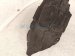 2021 Honda CR V Rear Driver Inner Fender Liner Hybrid 74590 TLA A50 Replacement 2021 Honda CR V Rear Driver Inner Fender Liner Hybrid 74590 TLA A50 Replacement thumbnail