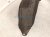 2021 Honda CR V Rear Driver Inner Fender Liner Hybrid 74590 TLA A50 Replacement 2021 Honda CR V Rear Driver Inner Fender Liner Hybrid 74590 TLA A50 Replacement thumbnail