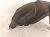 2024 Nissan Altima Rear Passenger Inner Fender Liner 76748 6CA0A Replacement 2024 Nissan Altima Rear Passenger Inner Fender Liner 76748 6CA0A Replacement thumbnail