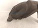2024 Nissan Altima Rear Passenger Inner Fender Liner 76748 6CA0A Replacement 2024 Nissan Altima Rear Passenger Inner Fender Liner 76748 6CA0A Replacement thumbnail