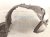 2024 Nissan Altima Front Passenger Inner Fender Liner 63840 6CA0A Replacement 2024 Nissan Altima Front Passenger Inner Fender Liner 63840 6CA0A Replacement thumbnail