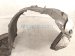 2024 Nissan Altima Front Passenger Inner Fender Liner 63840 6CA0A Replacement 2024 Nissan Altima Front Passenger Inner Fender Liner 63840 6CA0A Replacement thumbnail