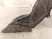 2024 Nissan Altima Front Passenger Inner Fender Liner 63840 6CA0A Replacement 2024 Nissan Altima Front Passenger Inner Fender Liner 63840 6CA0A Replacement thumbnail