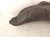 2024 Nissan Altima Rear Driver Inner Fender Liner 76749 6CA0A Replacement 2024 Nissan Altima Rear Driver Inner Fender Liner 76749 6CA0A Replacement thumbnail