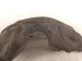 2024 Nissan Altima Rear Driver Inner Fender Liner 76749 6CA0A Replacement 2024 Nissan Altima Rear Driver Inner Fender Liner 76749 6CA0A Replacement thumbnail